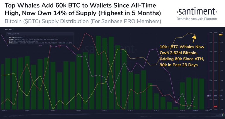 Market Research Report: Bitcoin Eyes Out $60,000 Again While ETH Clears $3,000 — New Crypto Legislation Helping? Market Research Report: Bitcoin Eyes Out $60,000 Again While ETH Clears $3,000 — New Crypto Legislation Helping? - BTC top whales
