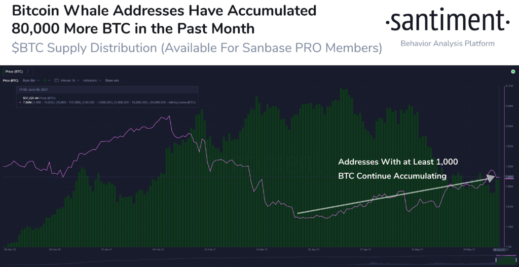 Market Research Report: Crypto Slow Despite El Salvador News But Stocks Rise Even With High Inflation Market Research Report: Crypto Slow Despite El Salvador News But Stocks Rise Even With High Inflation - image5 1024x527