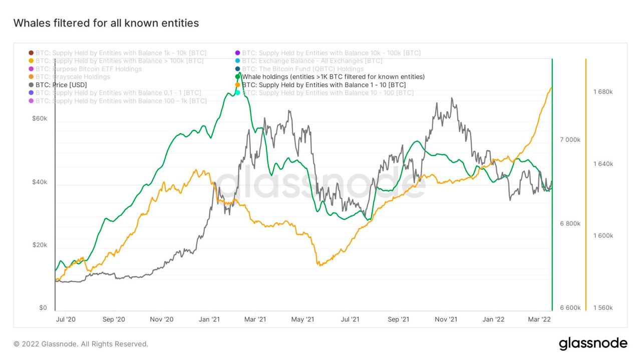 Market Research Report: Oil On A Roller Coaster Ride, Stocks Post Best Week Since 2020, BTC Bounces Above $40,000 Market Research Report: Oil On A Roller Coaster Ride, Stocks Post Best Week Since 2020, BTC Bounces Above $40,000 - BTC small whales
