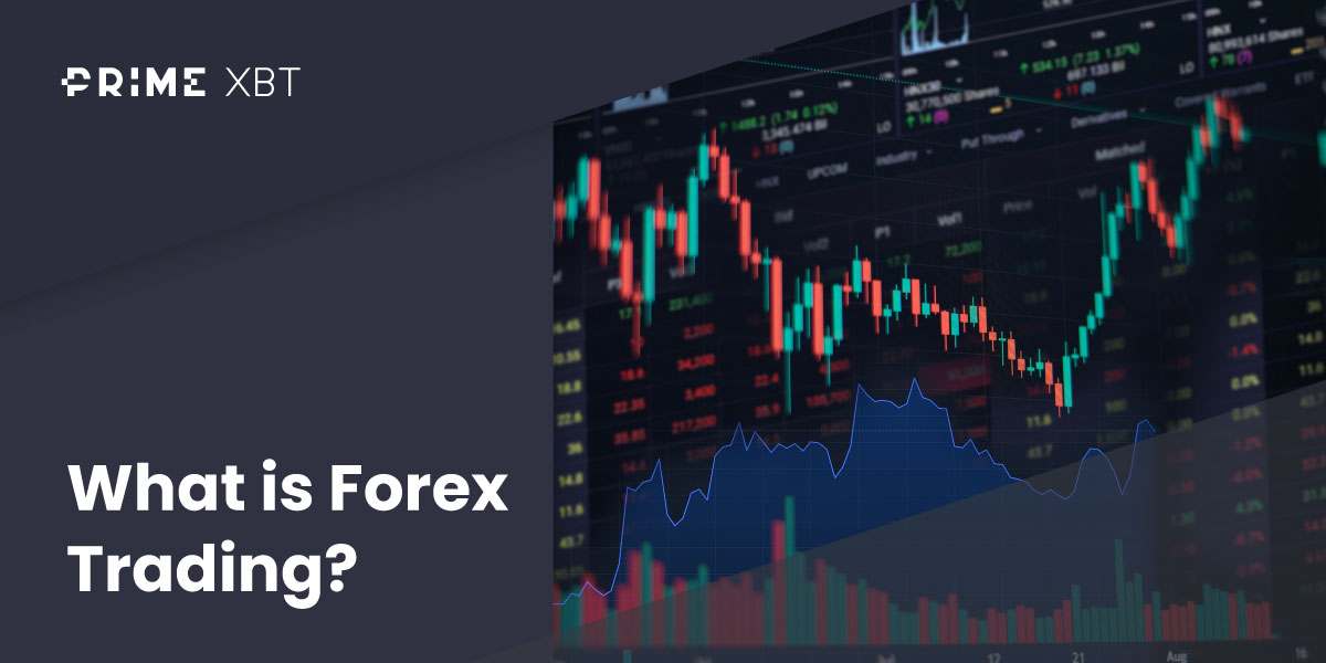 Beginner's Guide to Forex and Currency Markets in 2026 - Blog forex 03 03
