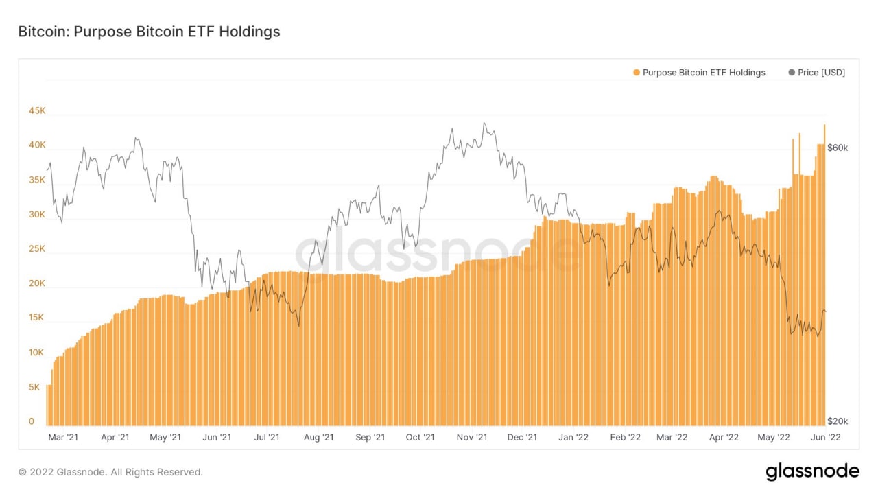 Market Research Report: Oil Spikes Higher After Breakout, Stocks Drop on Better Job Numbers, Crypto Consolidates Market Research Report: Oil Spikes Higher After Breakout, Stocks Drop on Better Job Numbers, Crypto Consolidates - Purpose BTC ETF
