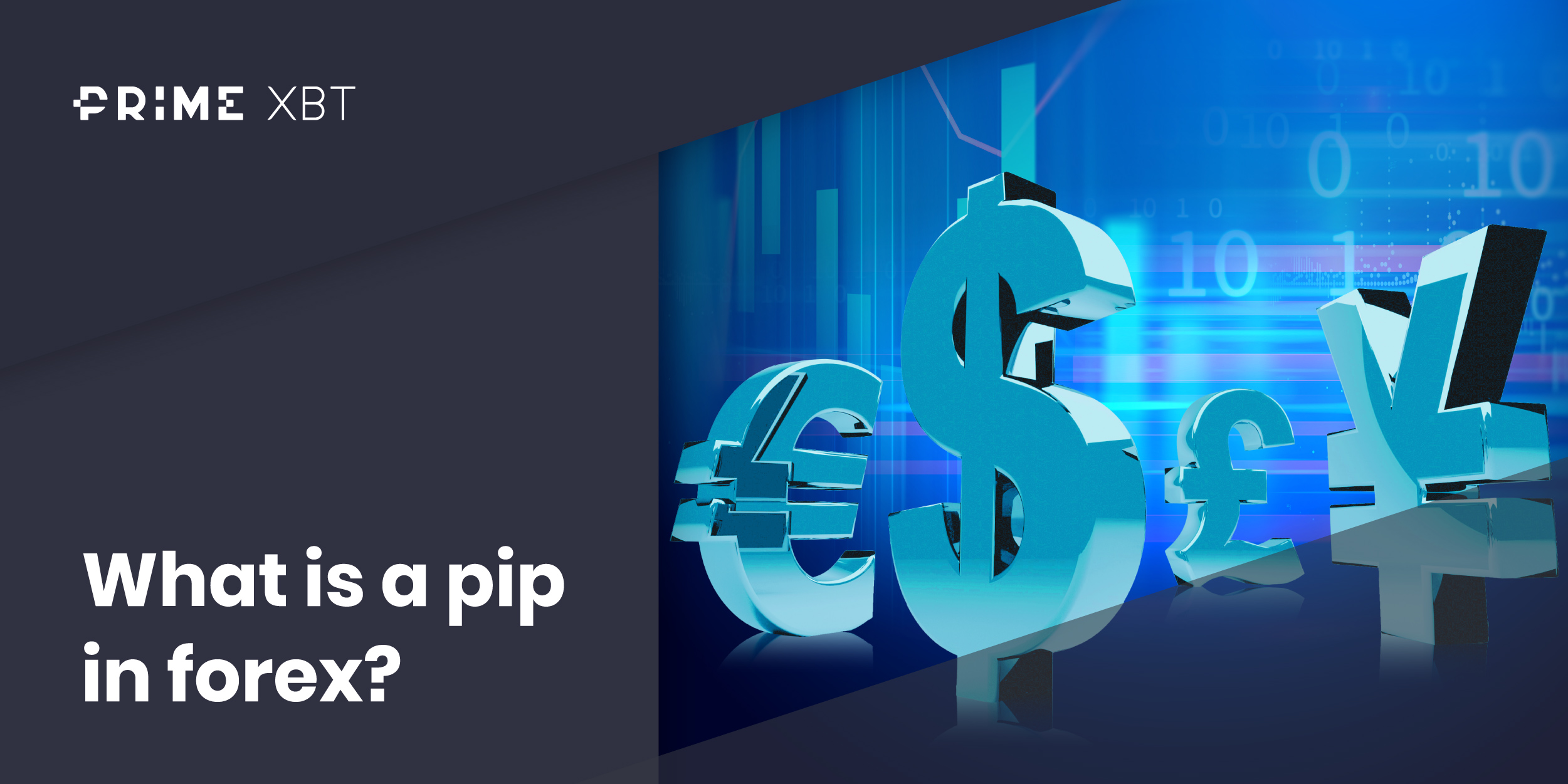 What Are Pips in Forex Trading - blog 219 1