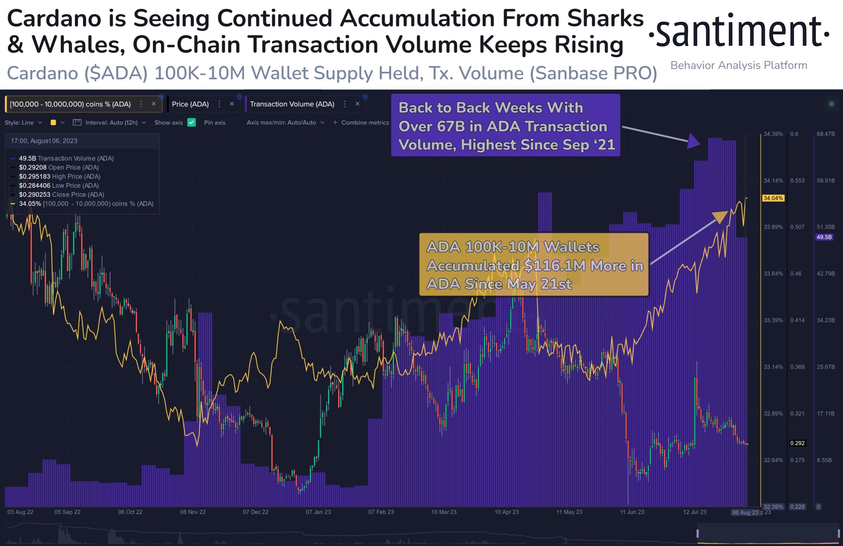 Market research report: Meme coins save the day as King BTC unable to crack $30,000 barrier Market research report: Meme coins save the day as King BTC unable to crack $30,000 barrier - ADA