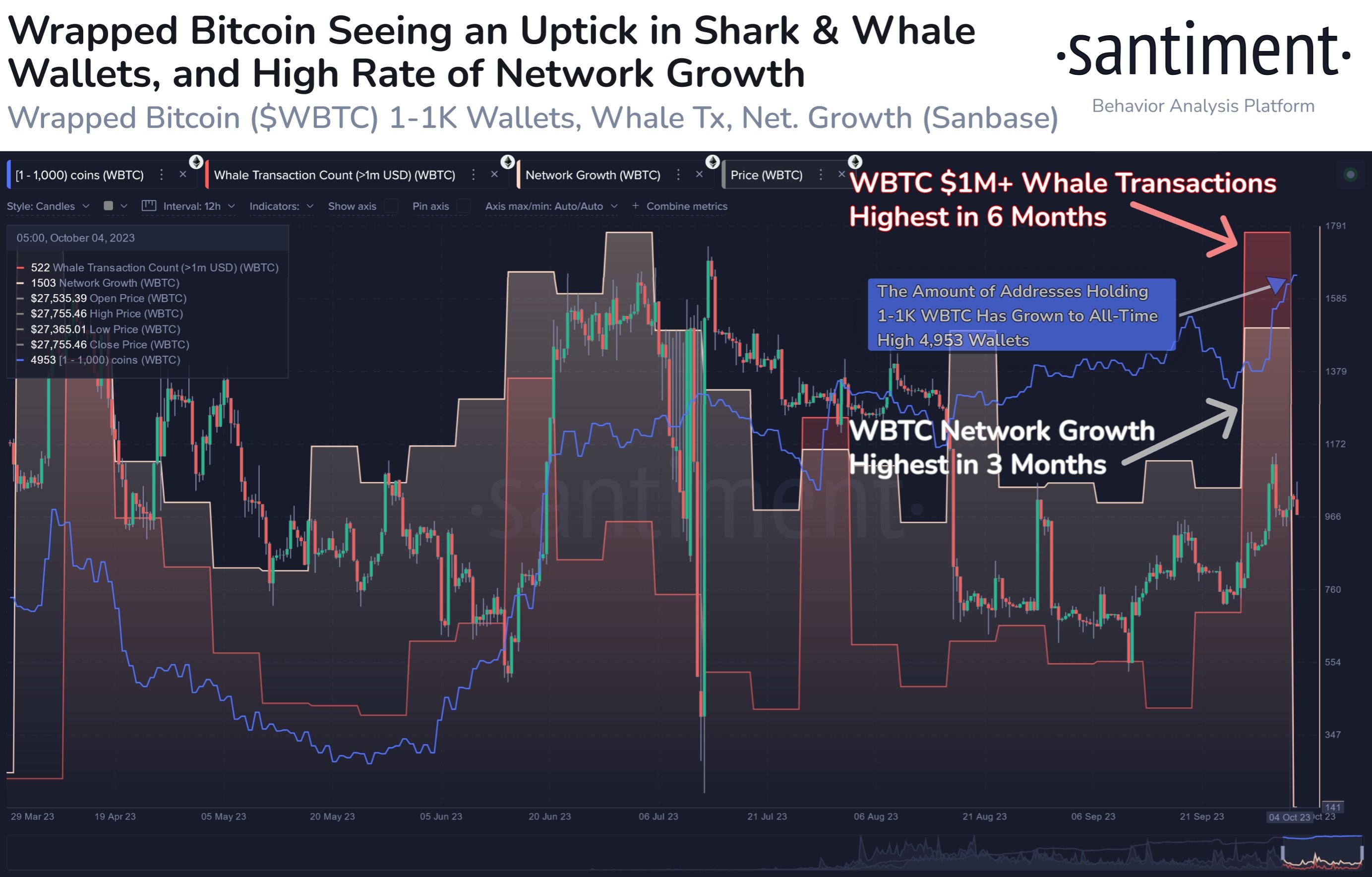 Market research report: BTC proves its mettle as safe haven amid unwinding of traditional market assets Market research report: BTC proves its mettle as safe haven amid unwinding of traditional market assets - wBTC