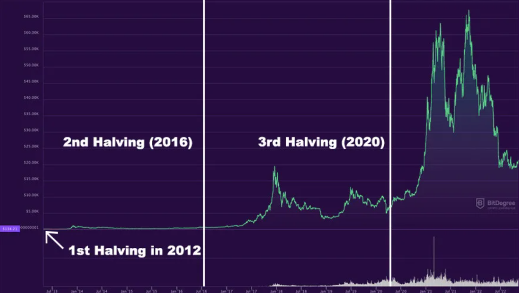 BTC Halving Schedule - BTC halving chart 1024x579