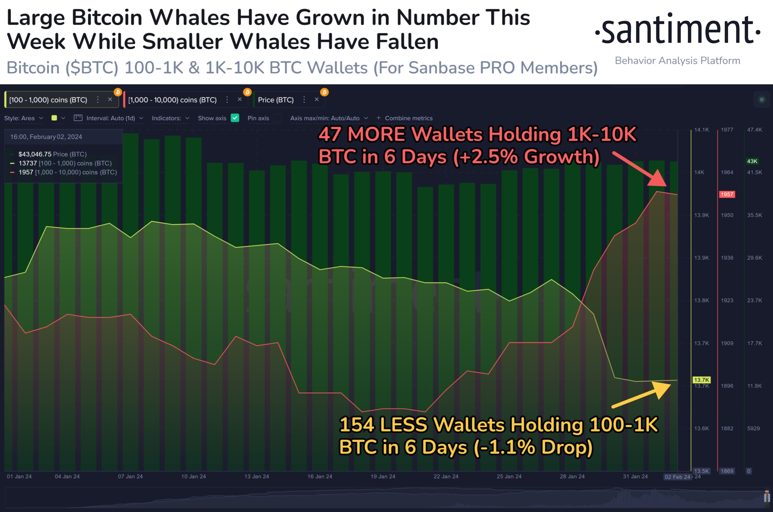 Market research report: BTC manages to hold above $40,000 in spite of dollar strength, stocks gain as US data beats Market research report: BTC manages to hold above $40,000 in spite of dollar strength, stocks gain as US data beats - BTC whale movement