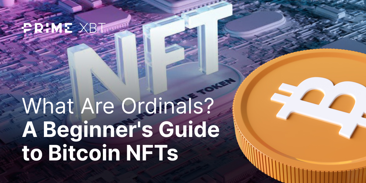 What are ordinals? A beginner's guide to Bitcoin NFTs - blog 329 1200x600
