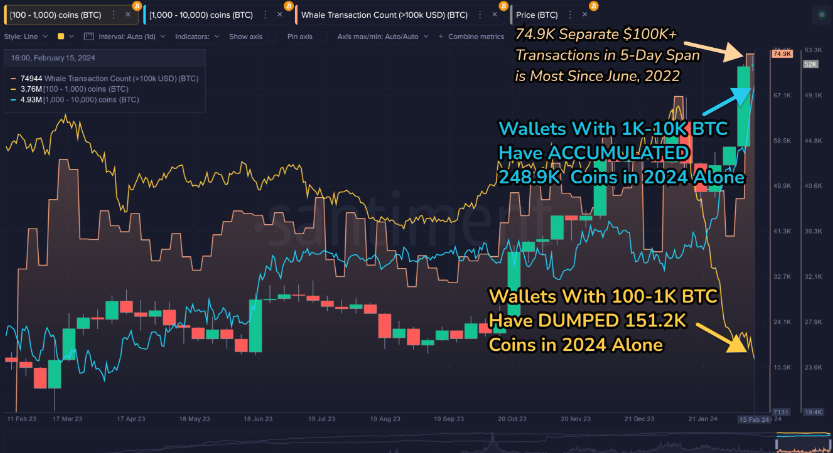 Bitcoin might be on the Road to record Highs - btc whales
