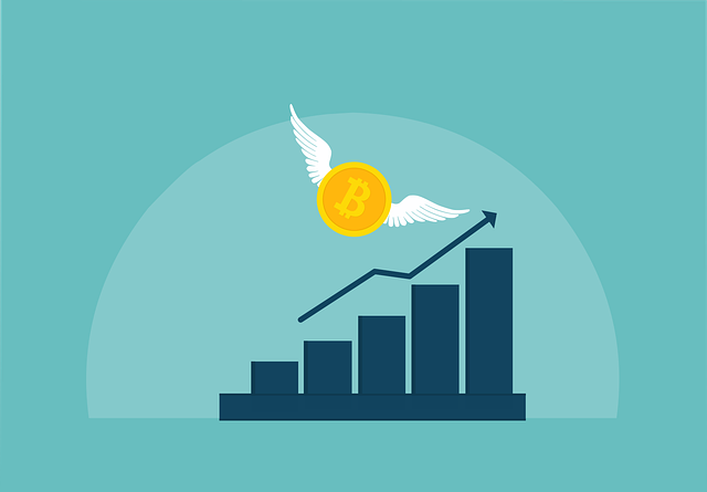 Bitcoin Price History and All‑Time High - bitcoin price history