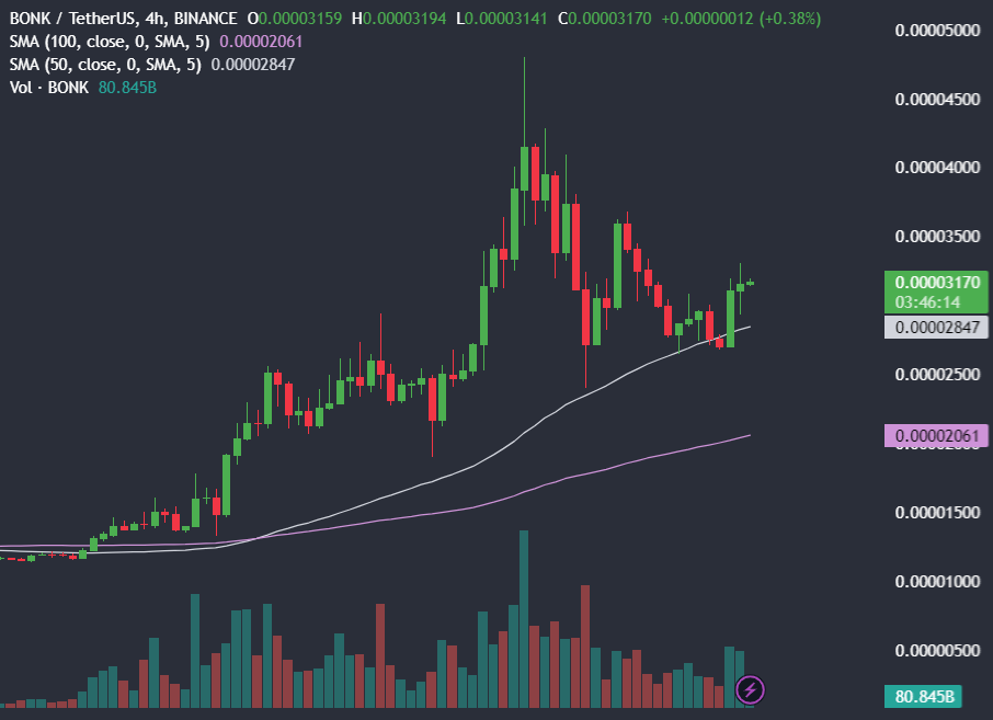 Which Altcoin is going to explode next in 2024? - bonkusdt