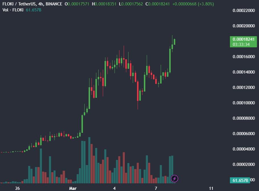 Which Altcoin is going to explode next in 2024? - flokiusd