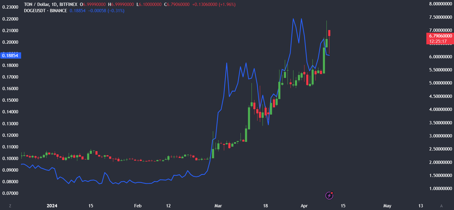TON rises to an ATH and becomes the 9th largest cryptocurrency - TON DOGE comparision chart