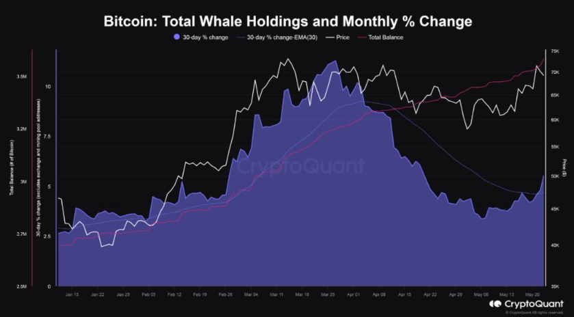 Market research report: Bitcoin sees modest gains, ETH surges on ETF approval, US stocks hit ATHs Market research report: Bitcoin sees modest gains, ETH surges on ETF approval, US stocks hit ATHs - BITCOIN whales
