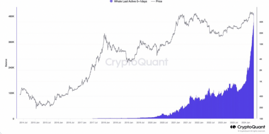 Market research report: Bitcoin recovers from a bear market, boosted by macro-factors Market research report: Bitcoin recovers from a bear market, boosted by macro-factors - whales