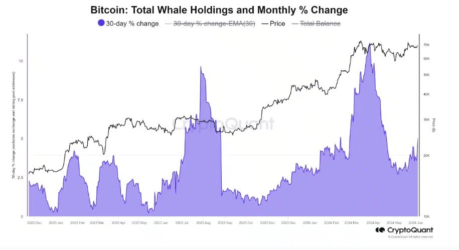 Market research report: Bitcoin at 69k as rate fears mount, overshadowing a record ETF inflow streak Market research report: Bitcoin at 69k as rate fears mount, overshadowing a record ETF inflow streak - BITCOIN whales 1
