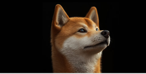 Dogecoin Rebounds Toward $0.085 as Futures Open Interest Falls to $614.9 Million