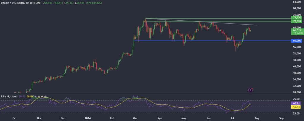 BTC at $66.5k with Kamala Harris ahead in the polls BTC at $66.5k with Kamala Harris ahead in the polls - BTCUSD 9 1024x409