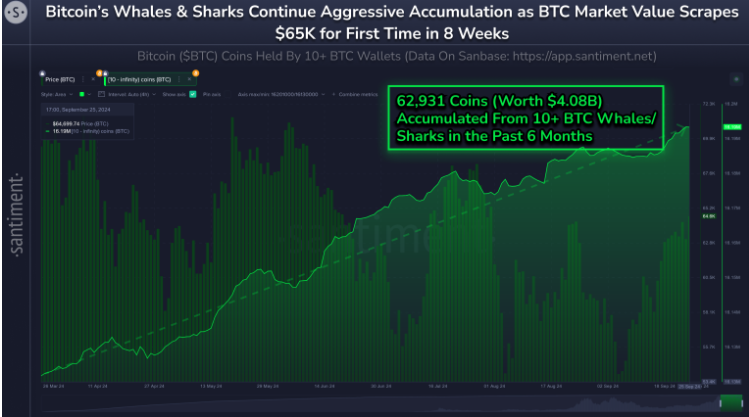 Bitcoin tests 65k as macro factors align and Q4 comes into focus Bitcoin tests 65k as macro factors align and Q4 comes into focus - whales 1