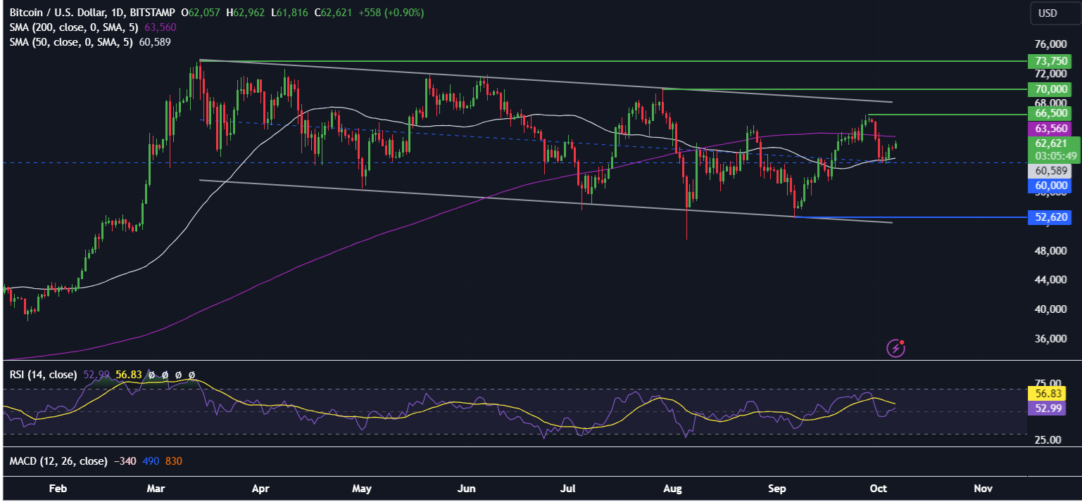 Bitcoin recovered from 60k. BTC ETFs see weekly outflows, but whales hold steady. US inflation data is in focus. Bitcoin recovered from 60k. BTC ETFs see weekly outflows, but whales hold steady. US inflation data is in focus. - BTCUSD 17