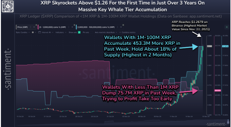Bitcoin hits a record high as the &ldquo;Trump trade&rdquo; continued, XRP outperformed - XRP