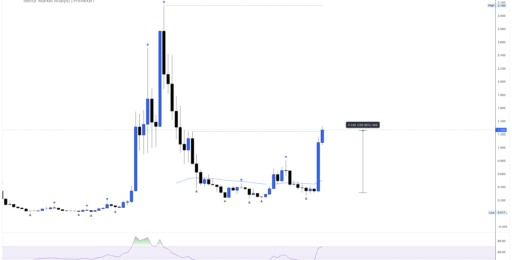 Cardano slips below $0.163 as short bets rise before Van Rossem hard fork - cardano 512x260