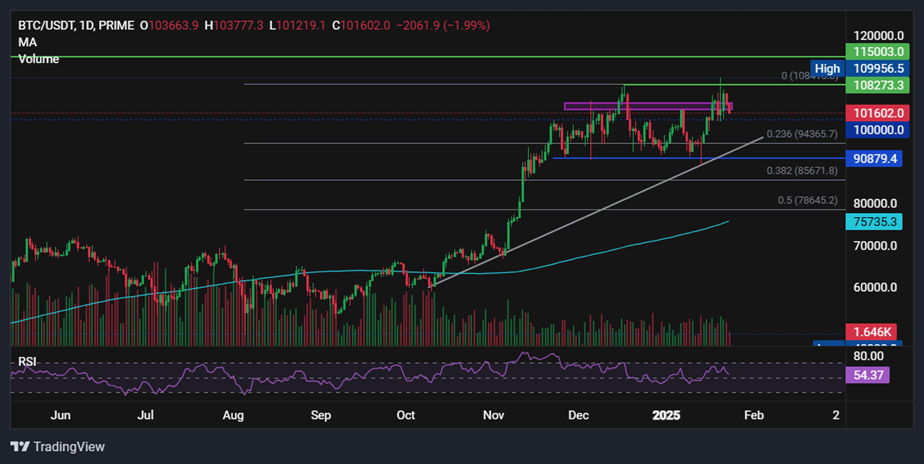 BTC slips towards 100k: AI coins fall despite Trump&rsquo;s announcement - BTCUSD 42