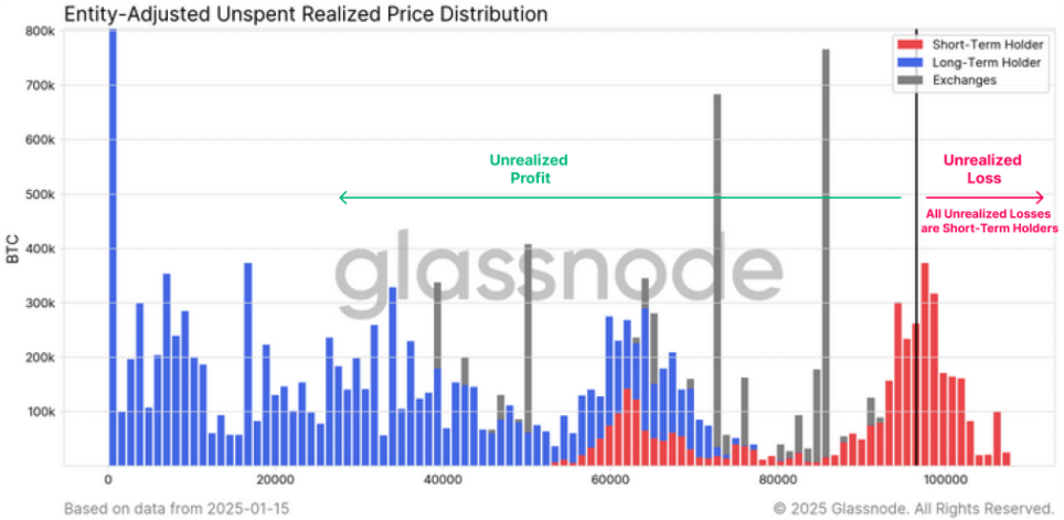 Bitcoin hits a new ATH ahead of Trump&rsquo;s inauguration. Can BTC rise higher? - unrelised price distribution
