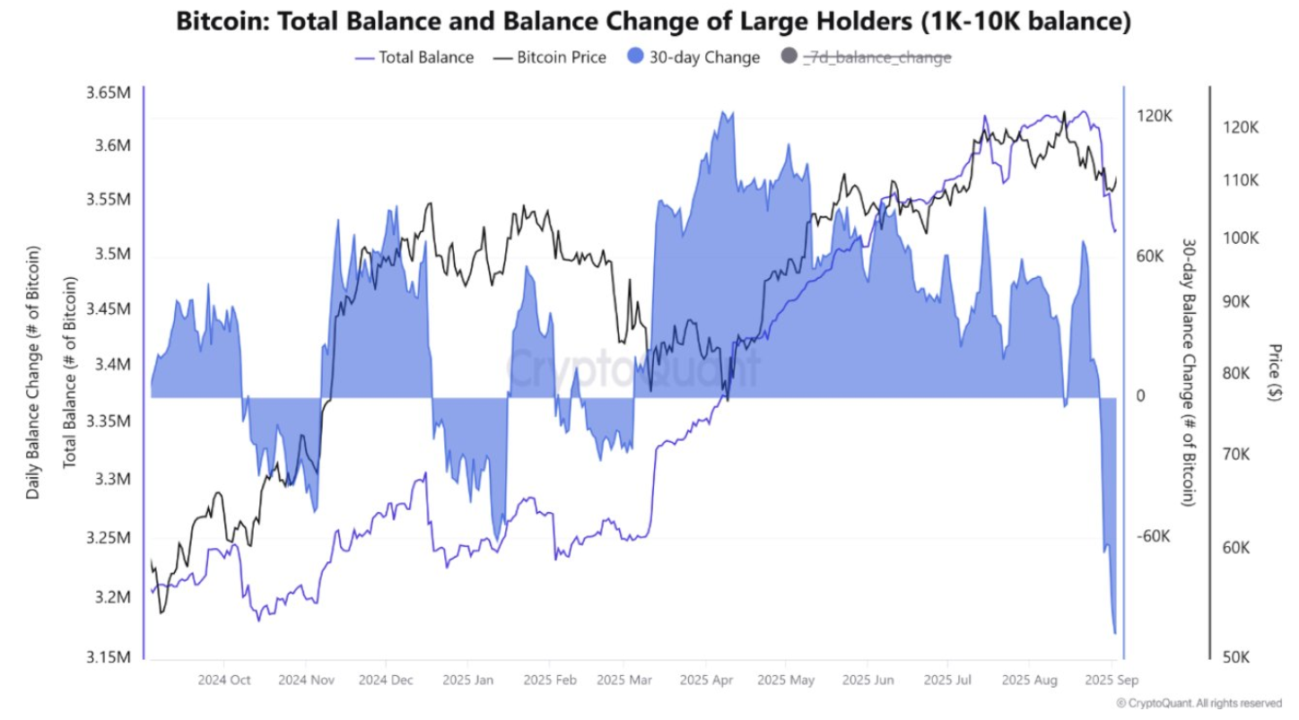 Bitcoin Weekly Report: Can BTC avoid a Red September as Gold hits record highs? Mixed signals emerge.&nbsp; - change large holders 08092025