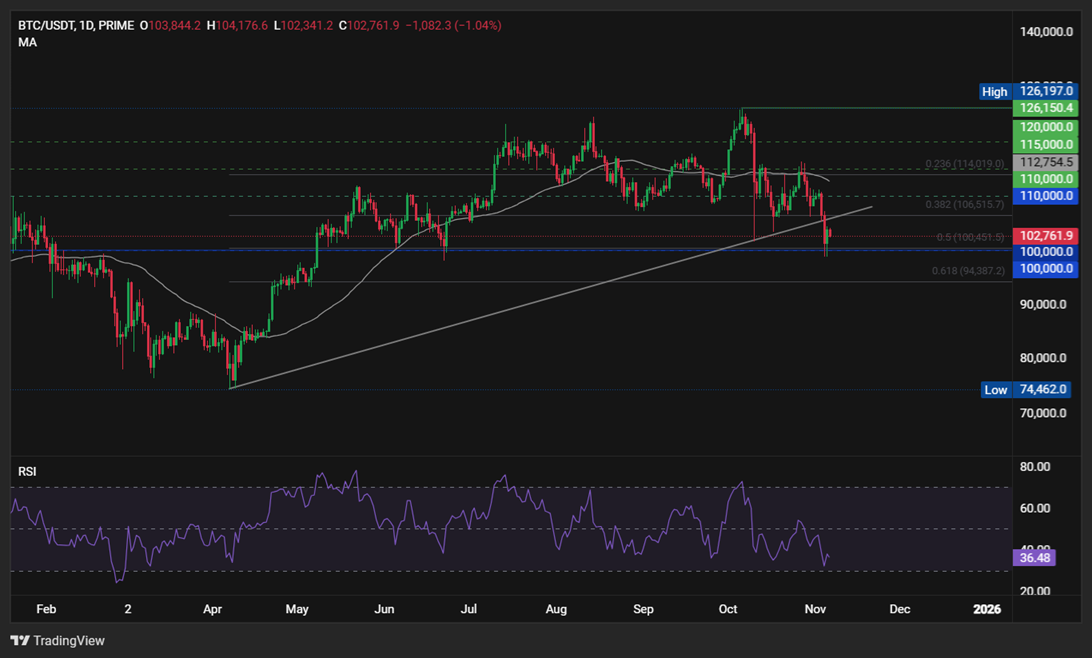 BTC Tests Bear Market Waters &mdash; Buyers Defend $100K Support - BTCUSD 29