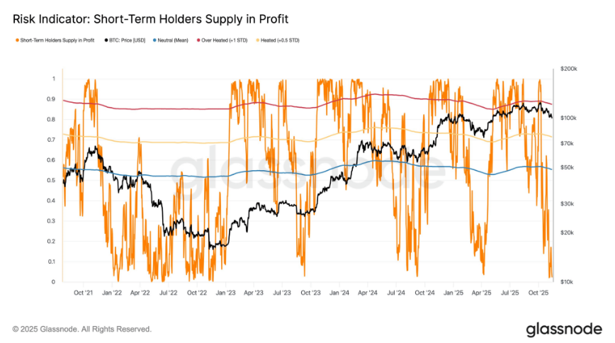 Bitcoin in crisis as extreme fear takes over. Is a recovery likely? - STH supply in profit