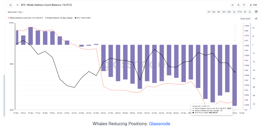 BTC treads water at 90k: Fed cuts, BoJ risks, and fragile demand - whale address count
