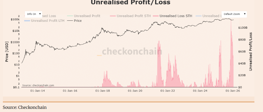 Bitcoin retreats as geopolitical tensions rise, despite strong institutional and on-chain support Bitcoin retreats as geopolitical tensions rise, despite strong institutional and on-chain support - STH unrealised pl