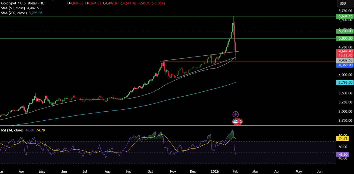 Bitcoin plunges to a 9-month low as Trump&rsquo;s Warsh pick tanks BTC. More downside to come? - gold 10